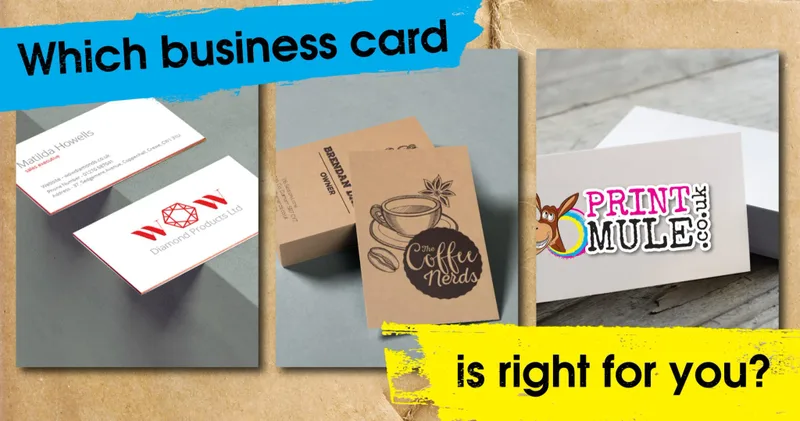 Which Business Card is Right For You | Print Mule