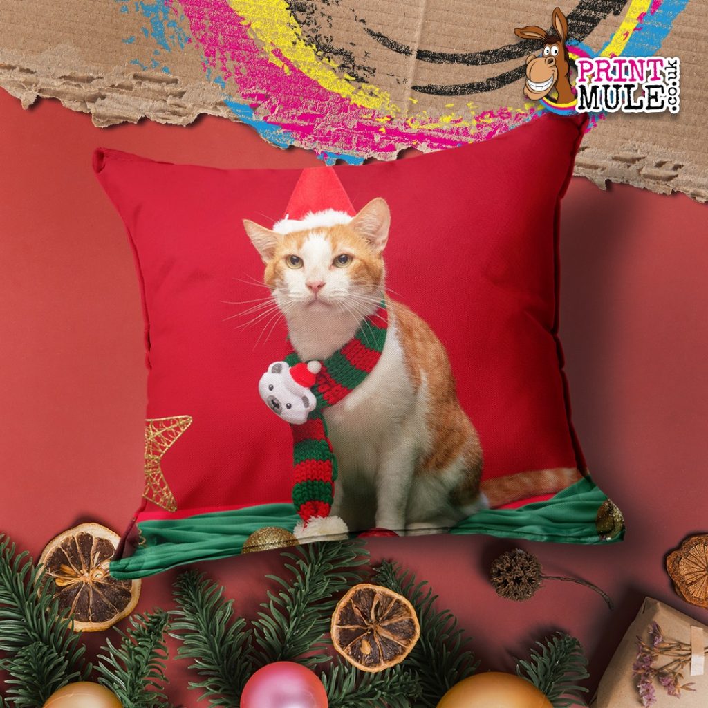 Christmas Cat Pillow